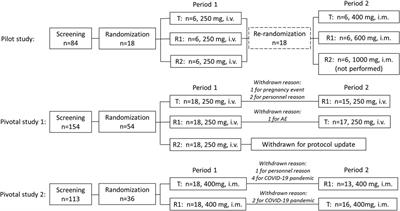 Comparison of pharmacokinetics and safety between CE-fosphenytoin sodium, fosphenytoin sodium, and phenytoin sodium after intravenous and intramuscular administration in healthy volunteers